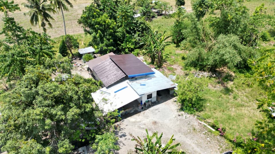 Aerial view of Jaja’s Auto Mechanic Service workshop surrounded by trees in Buenavista